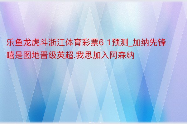 乐鱼龙虎斗浙江体育彩票6 1预测_加纳先锋嘻是图地晋级英超.我思加入阿森纳